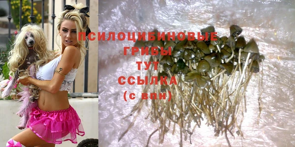 jwh Белокуриха