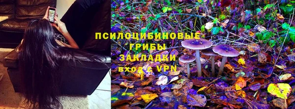 jwh Белокуриха