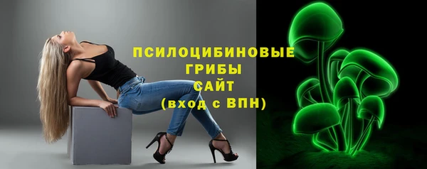 jwh Белокуриха