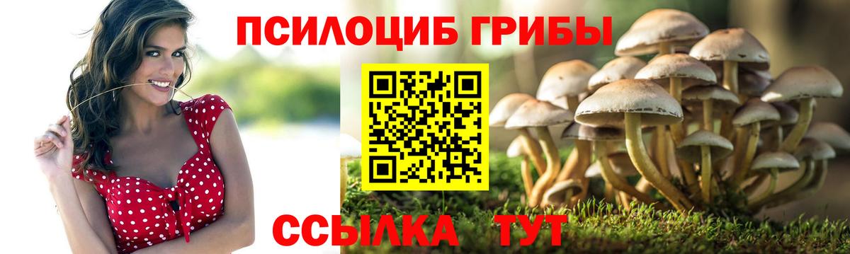 Валуйки  закладки  Вход с VPN  Галлюциногенные грибы мицелий 